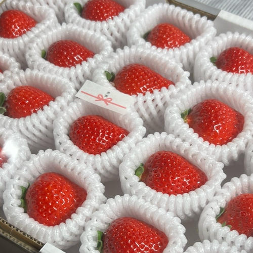 あまおう ｜ 果物/いちご 産直アウル 農家・漁師など生産者から直接