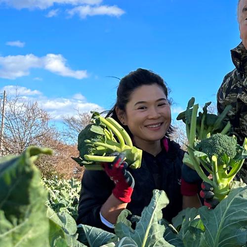 ビーツスーパーフード深谷産野菜！ビーツ4kg（12個位） ｜ 野菜