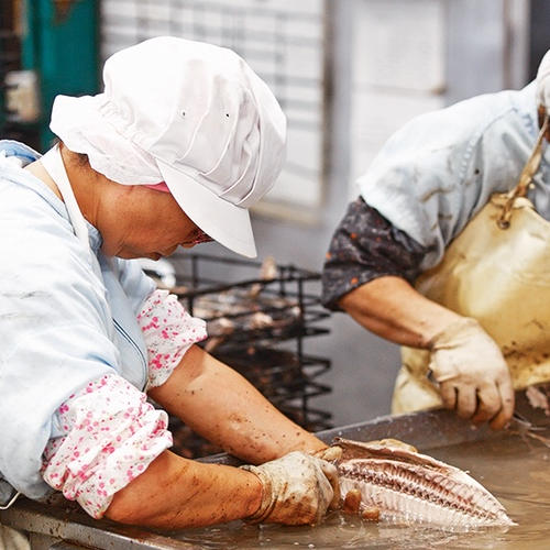 お試し・まとめ買い】焼津かつおせんべい70g 3袋セット【手土産