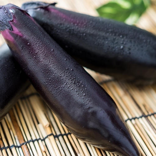 農家の食べてるお米《新米 奈良県産ヒノヒカリ10kg 》 | 米・穀物/米