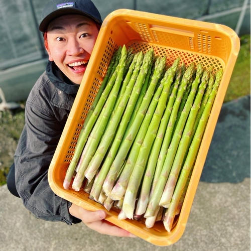 はなまる農園のめちゃ太，アスパラさぬきのめざめ２キロ はなまる農園のめちゃ太，アスパラさぬきのめざめ2キロ 贈答用（秀品