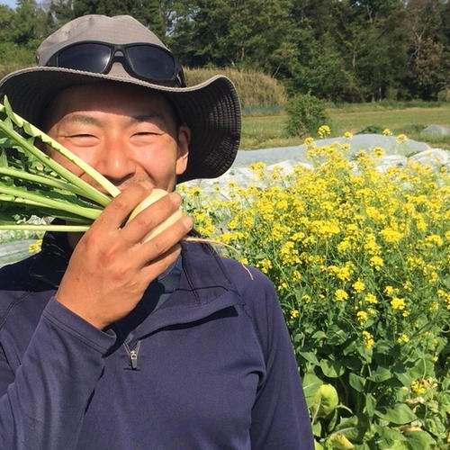 葉無し白カブ3kg🥗 ｜ 野菜/かぶ 産直アウル 農家・漁師など生産者から