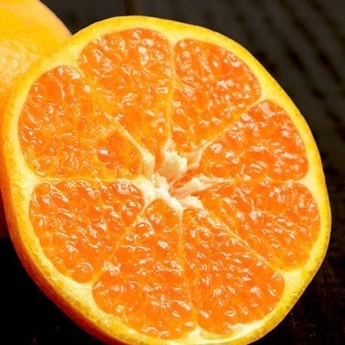 柑橘の女王「せとか」※数量限定10の予約販売のみです。 ｜ 果物