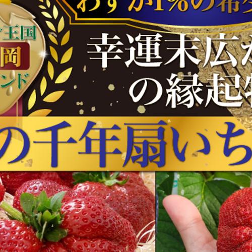 海外セレブ御用達】🍓やみつきリピーター続出🍓累計数十万人が虜になる