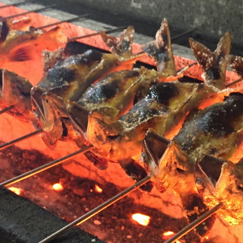 鮎塩焼きほぐし 2個詰 ｜ 魚介類/川魚 産直アウル 農家・漁師など生産