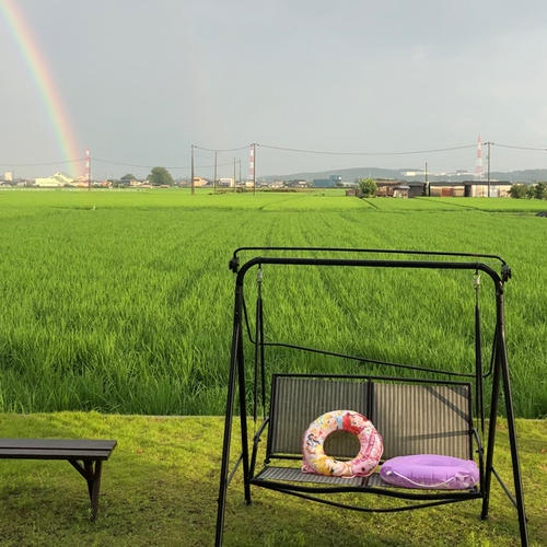 農薬不使用・化学肥料不使用朝日米(玄米) 20kg ｜ 米・穀物/玄米 産直