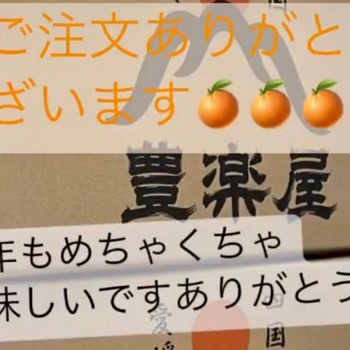 最高級】真穴（まあな）産地直送 極上みかん 2S~S 3kg 小玉 贈答 家庭