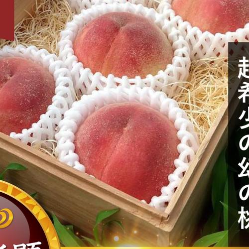 蔵出し安納芋】シャトーブリアン級最大糖度40度さつまいも100