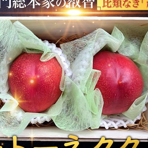 8月中旬発送【マンゴーの濃厚な糖度×桃の爽やかな酸味】を掛け合わせた