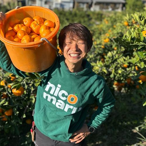 ばるみちぇさん専用　明治3点セット 🍊選べるギフトセット🍊てんちゃんジュース3種セット（みかん、はるか