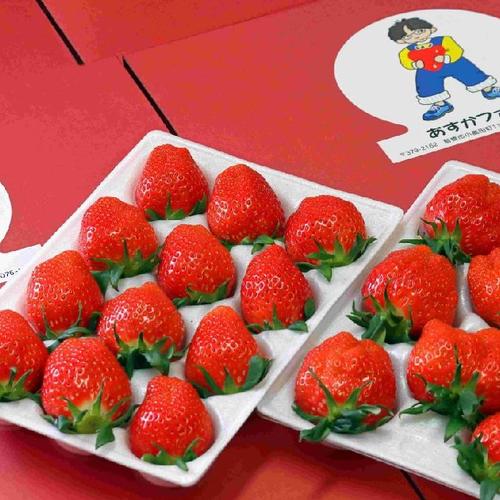 超特大サイズいちご 拳と同じくらい大きいいちご 甘くて味の濃い