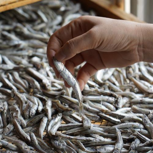 瀬戸のめぐみ 新子小エビ バラ凍結500g2袋入 ｜ 魚介類/エビ 産直