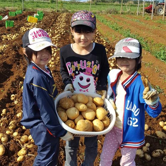 南国の恵み徳之島恵実菜園 伊仙町