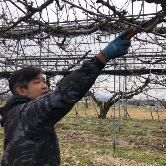 やまたか農園のご紹介 寒河江市 Owl アウル 農家から直接野菜などの食材を購入できる産地直送の宅配通販サイト