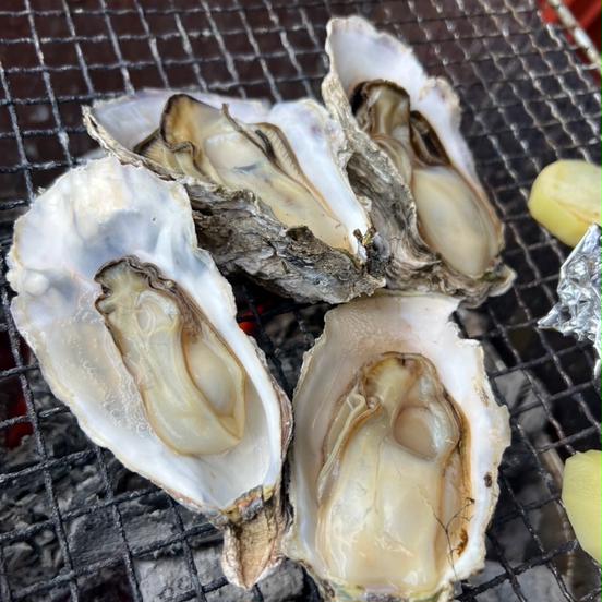 海鮮 DON DON 根室市
