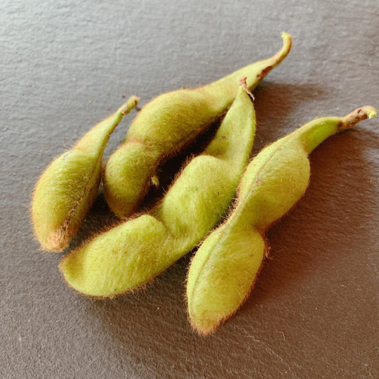 たむら畑のご紹介 綾部市 Owl アウル 農家から直接野菜などの食材を購入できる産地直送の宅配通販サイト