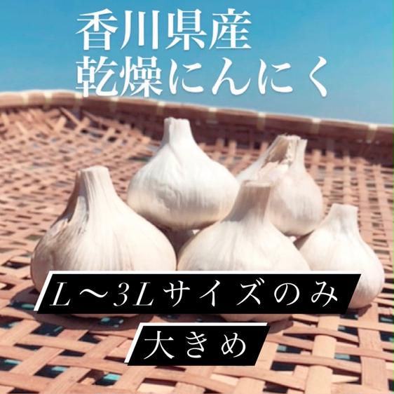 10kg・2Lサイズ以上｜農家直送・風干しにんにく（半乾燥・土付き・香川県産） 10kg・2Lサイズ以上｜農家直送・風干しにんにく（半乾燥・土付き