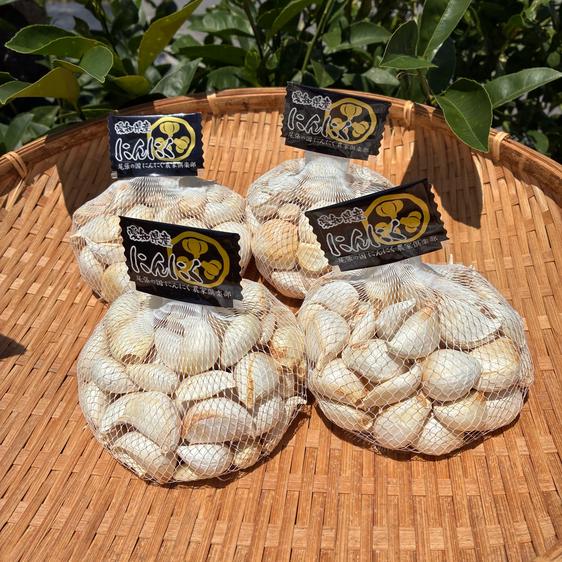 生にんにく　愛知県産　令和8年度収穫　５キロ M'S農業 にんにく専門（愛知県・一宮市）｜生産者詳細｜産直アウル