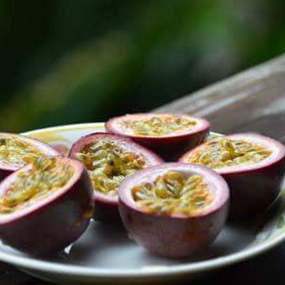 いさい様☆M玉10.0kg パッションフルーツ いさい様☆M玉10.0kg パッションフルーツ