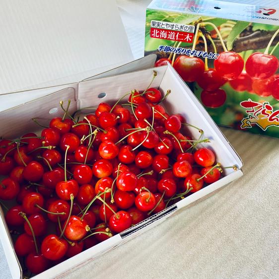 くくり農園のご紹介 | 仁木町 | 産直アウル 農家から直接野菜などの