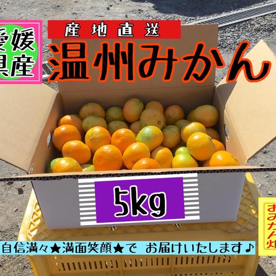 ミッチー の おみかん畑のご紹介 | 愛南町 | 産直アウル 農家