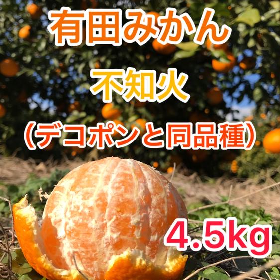 有田　不知火　有田みかん　家庭用　オーダー品 3月上旬以降|順次発送予定】【春季限定】不知火(デコポン