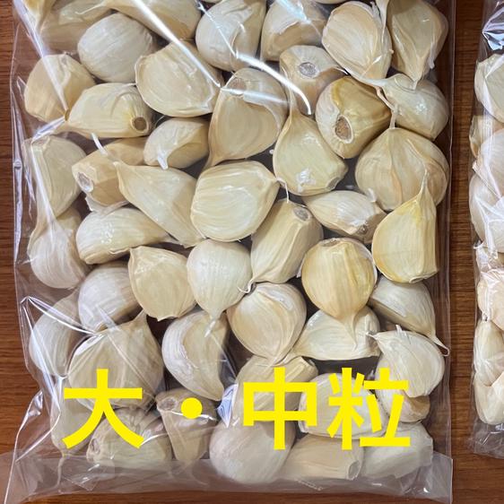 Oh!garLic（青森県・十和田市）｜生産者詳細｜産直アウル