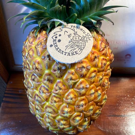 たくし農園ちゅふる コメント用ページ!農家直送!沖縄県今帰仁 たくし農園ちゅふる コメント用ページ!農家直送!沖縄県今帰仁