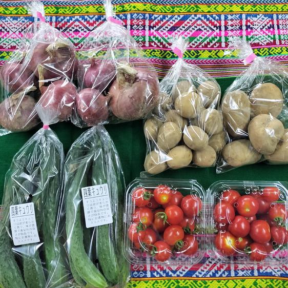 Pachamamaの最新投稿「夏野菜セット」｜産地直送の販売・育成情報