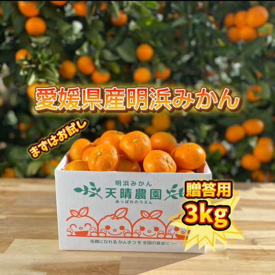 株式会社 笑丸（ニコマル）（愛媛県・西予市）｜生産者詳細｜産直アウル