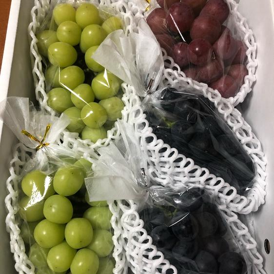 きらめきぶどう園さんがコミュニティ向けに「3色ぶどうセッ」投稿