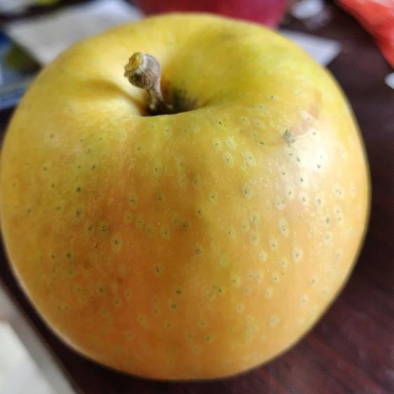 山﨑りんご農園（長野県・麻績村）｜生産者詳細｜産直アウル