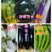 かぼちゃ入り６品種セット(o^_^o) 80:６品かぼちゃ入り 野菜/野菜セット・詰め合わせ通販