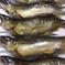 初夏限定‼️若鮎炭火焼　5尾　骨も柔らか頭からパクリ！地下水育ち 250g 魚介類/川魚通販