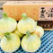 淡路島産(南あわじ市)   新玉ねぎ　七宝　　5kg 5kg 野菜/玉ねぎ通販