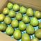 減農薬栽培　果物の女王🍐ラ・フランス🍐3キロ箱満杯詰め詰めBOX 小玉サイズ　3キロ箱満杯詰め 果物/梨通販