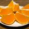 デコっと不知火🍊訳あり　2kg（箱込）大感謝  SALE🍊 2kg（箱込） 果物/オレンジ・その他みかん通販