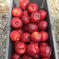 【まもなく終了！】葉とらず紅玉　4.5kg 1箱約4.5kg(13〜20玉) 果物/りんご通販