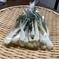 【無農薬】エシャレット（目安：２００g）【生でおいしい】 200g 野菜/その他野菜通販