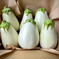湖国の旬☆とろ〜り旨ナス 白茄子5〜7本 野菜/茄子通販