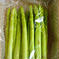 化学肥料・化学農薬不使用！アスパラガス２Ｌ アスパラガス　２Ｌサイズ 野菜/その他野菜通販