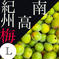 【L】黄色　南高梅5.0kg 5.0kg 果物/青梅通販