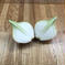 訳あり　数量限定淡路島産極早生玉ねぎ 5kg 野菜/玉ねぎ通販