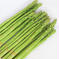【お試し商品】MILAND FARMのアスパラ！ 300g 野菜/アスパラガス通販