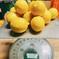 ご要望にお応えして♪丸ごと🍋瀬戸内露地イエローレモン約2㎏  コロ丸登場！ 約2㎏ 果物/香酸柑橘(ライム・レモン等)通販