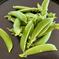 ぷり甘～！スナップエンドウ箱込み1000ｇ 箱込み1000ｇ 野菜/豆類通販