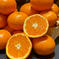 【希少価値の高い】輝みかん🍊（石地）（5.0k入） 5.0k 果物/温州みかん通販