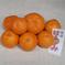 うちの春物　春の香りただよう『はるみ🍊』 約4.5キロ 果物/オレンジ・その他みかん通販