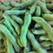 【選別漏れ】無農薬そら豆（打越一寸）1kg 1kg 野菜/豆類通販