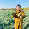 【九代目園主が育てた！】完熟淡路島たまねぎ（5キロ：約18玉） 5kg 野菜/玉ねぎ通販